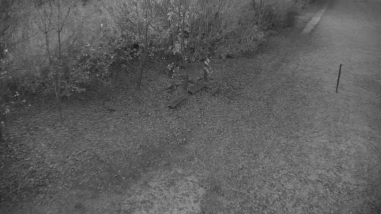 Web kamera Ribnik Vrbje – Žalec