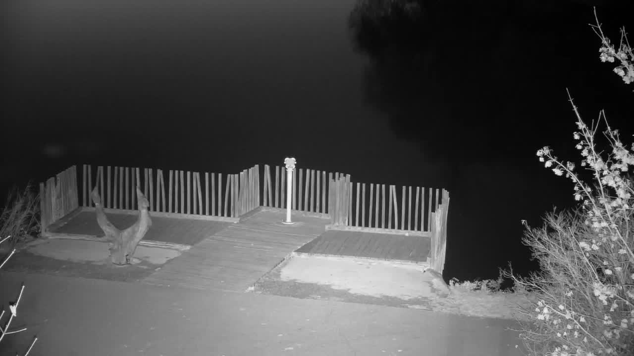 Web kamera Ribnik Vrbje – Žalec