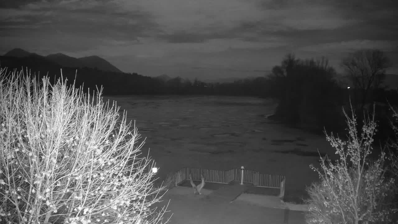 Webcam Ribnik Vrbje – Žalec