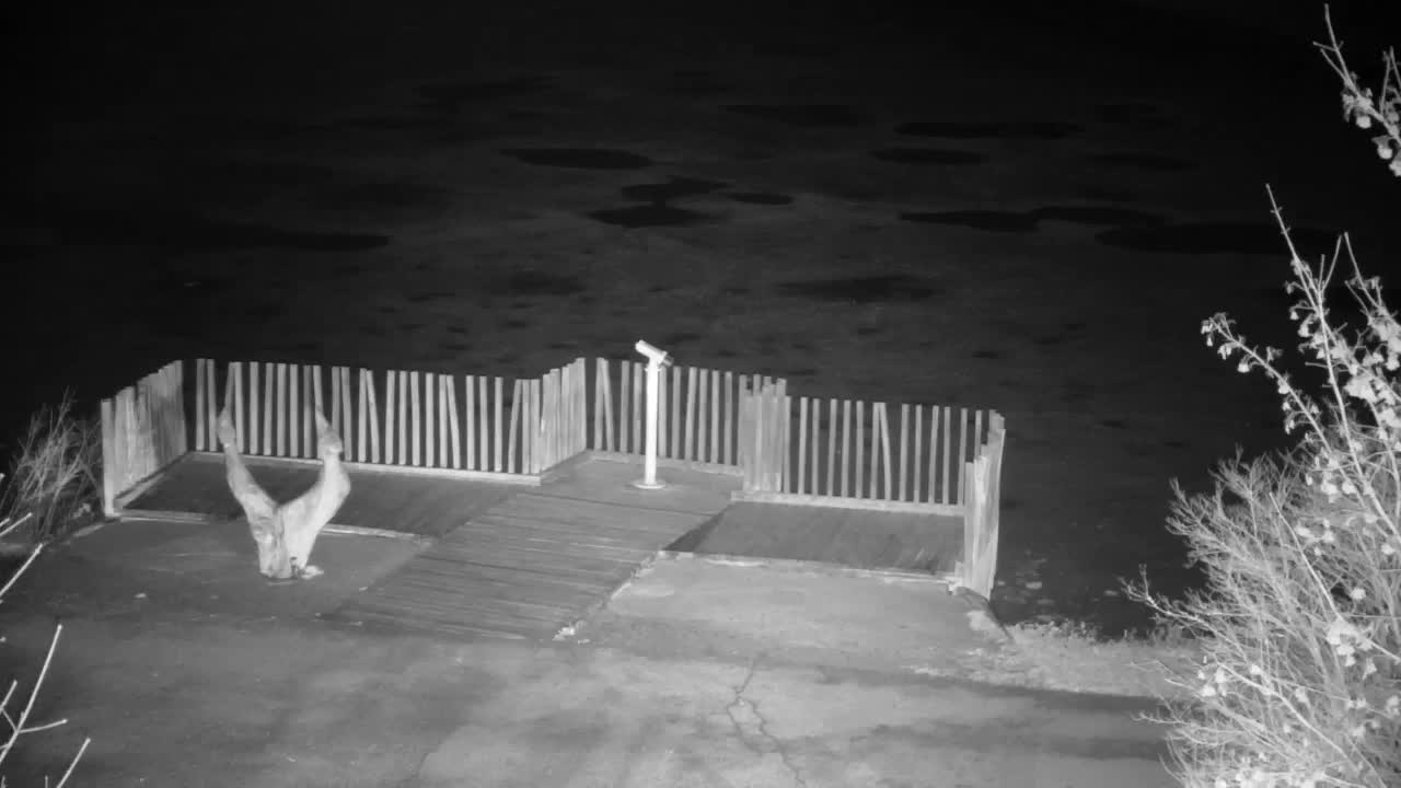 Webcam Ribnik Vrbje – Žalec