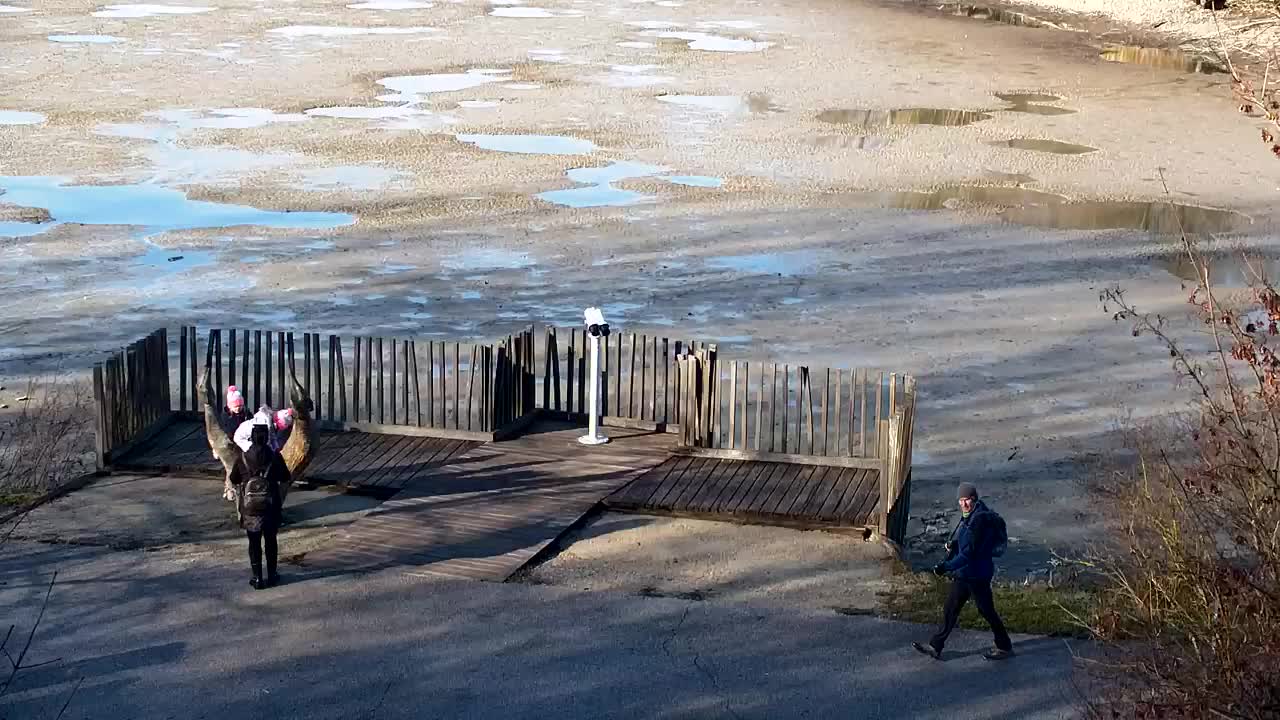 Webcam Ribnik Vrbje – Žalec