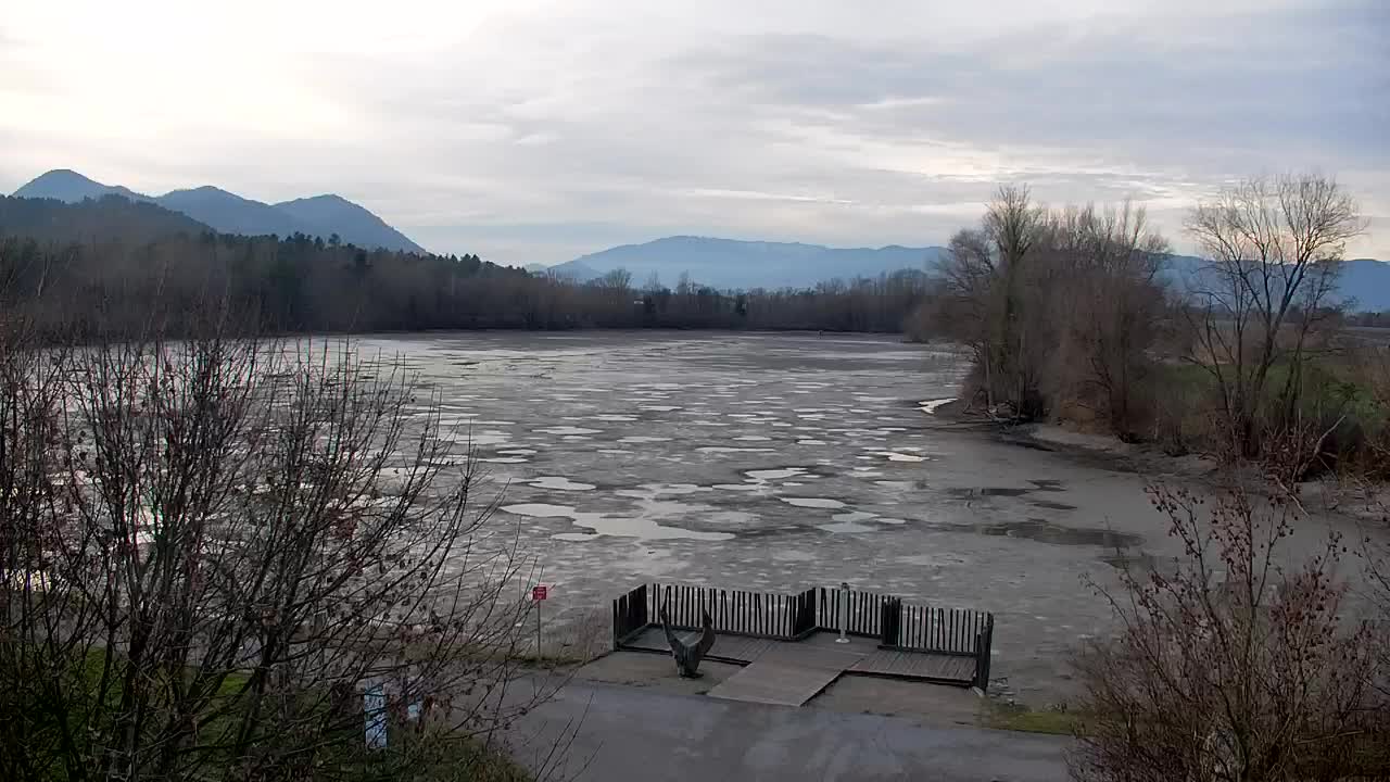 Webcam Ribnik Vrbje – Žalec