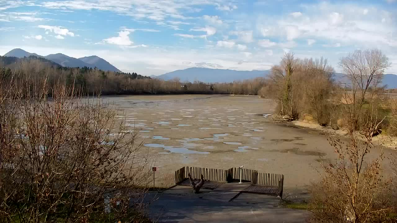 Webcam Ribnik Vrbje – Žalec