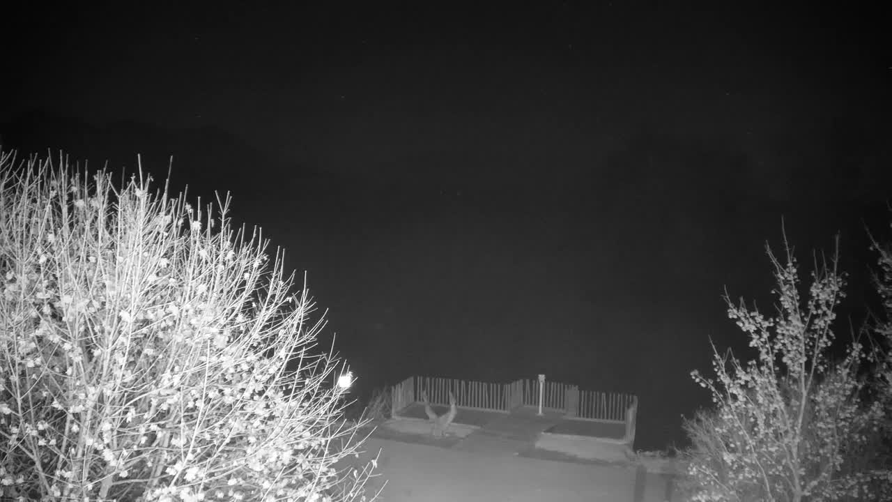 Webcam Ribnik Vrbje – Žalec