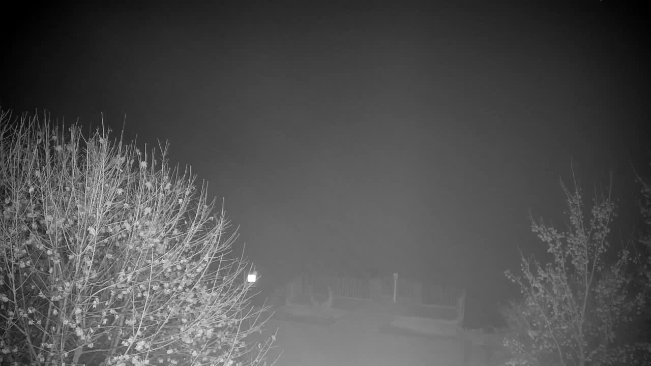 Webcam Ribnik Vrbje – Žalec