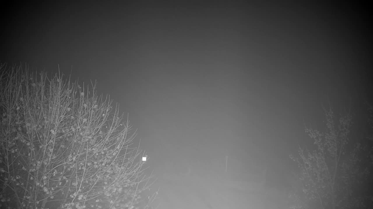 Webcam Ribnik Vrbje – Žalec