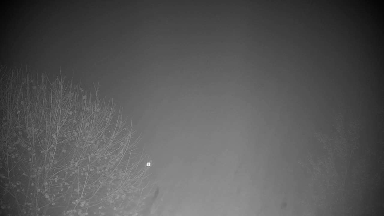 Webcam Ribnik Vrbje – Žalec