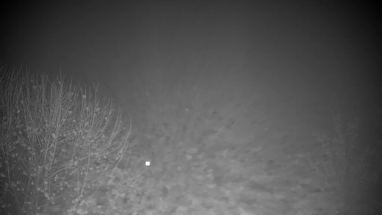 Webcam Ribnik Vrbje – Žalec