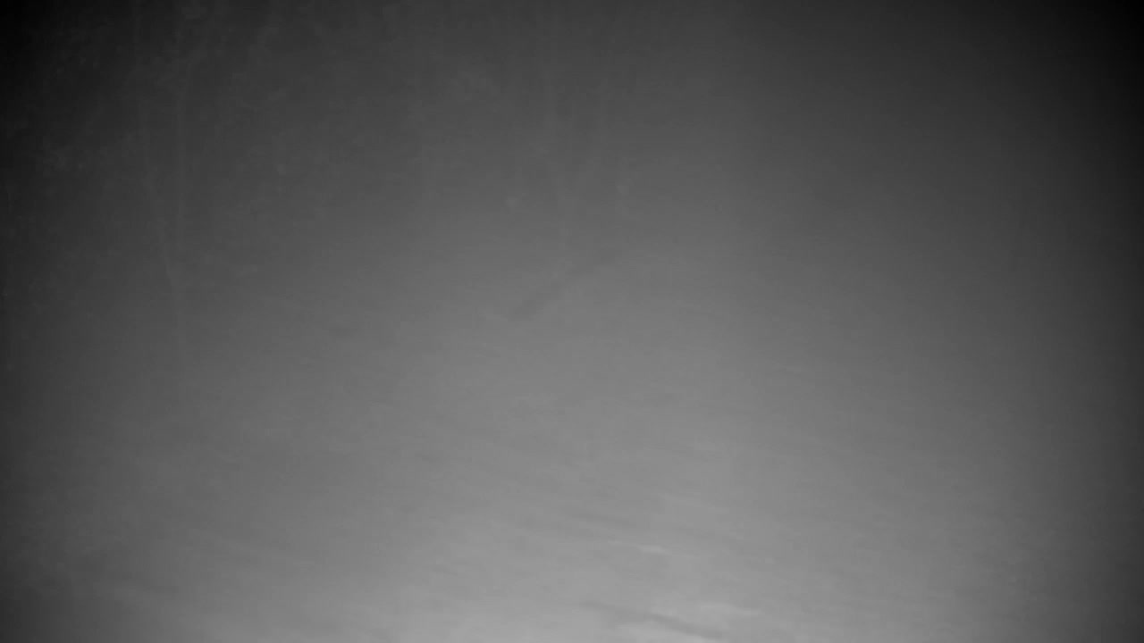 Webcam Ribnik Vrbje – Žalec