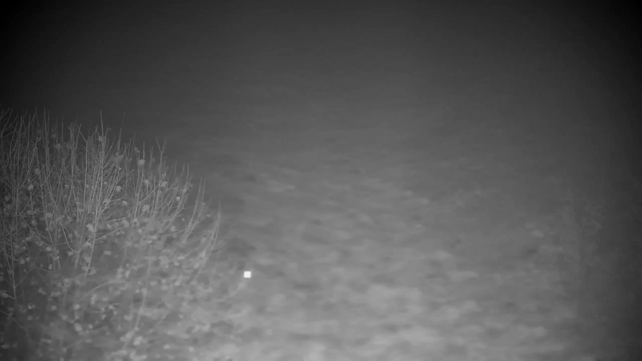 Webcam Ribnik Vrbje – Žalec