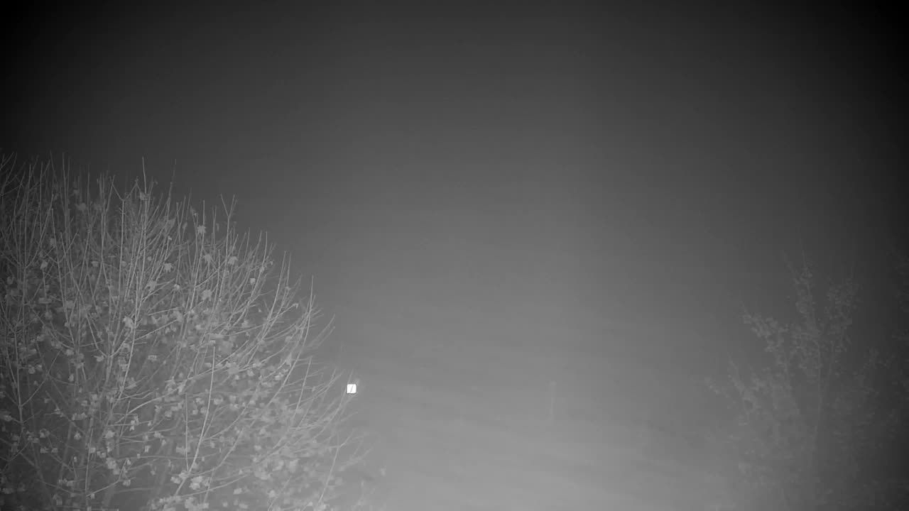 Web kamera Ribnik Vrbje – Žalec