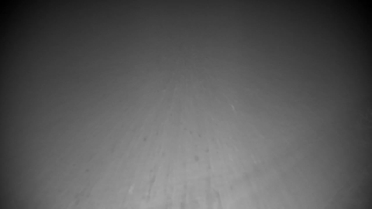 Webcam Ribnik Vrbje – Žalec