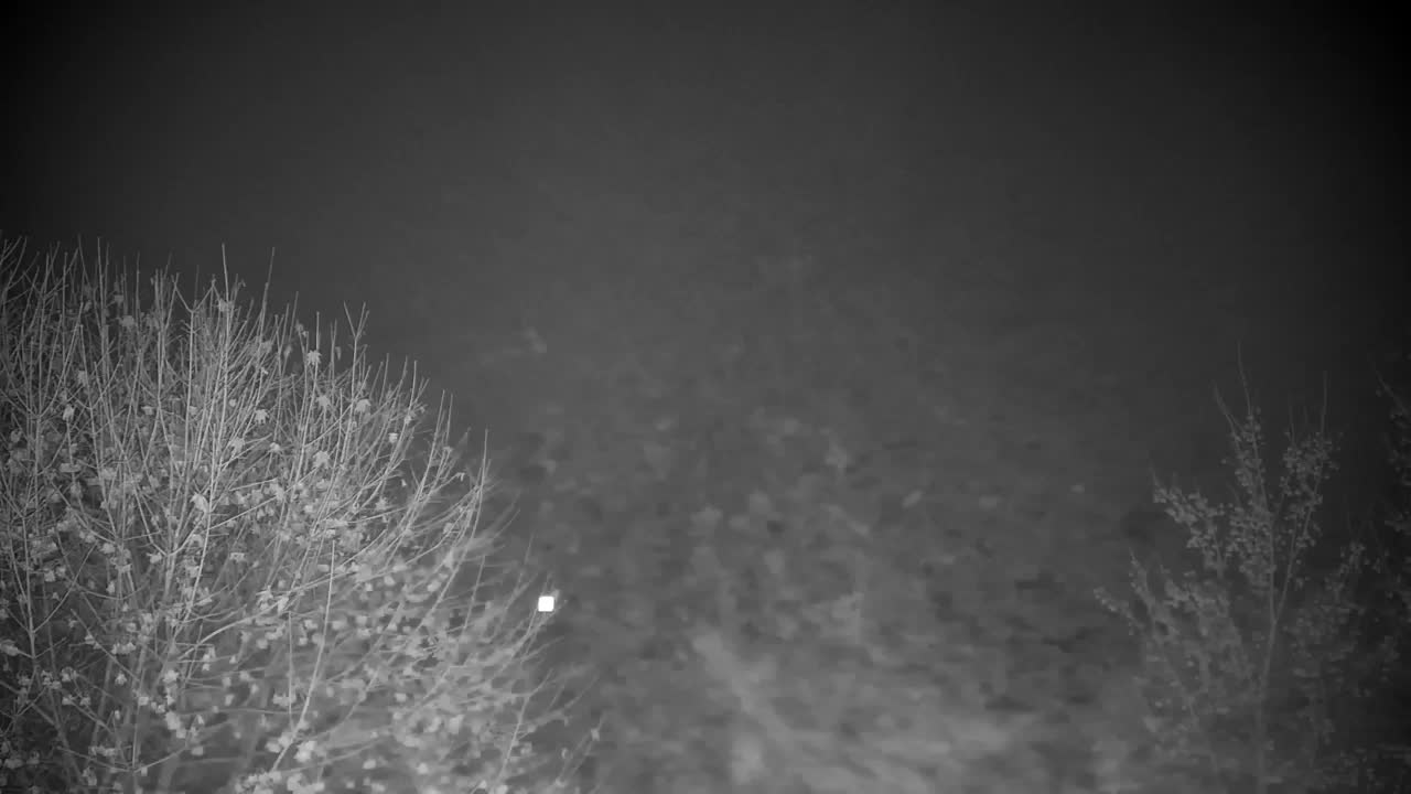 Webcam Ribnik Vrbje – Žalec