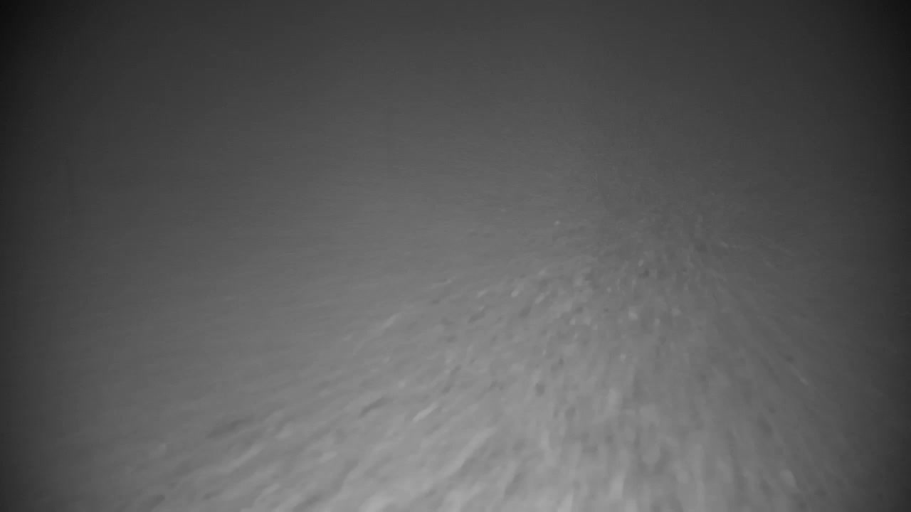 Spletna kamera Ribnik Vrbje – Žalec