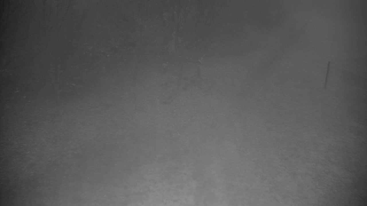 Webcam Ribnik Vrbje – Žalec