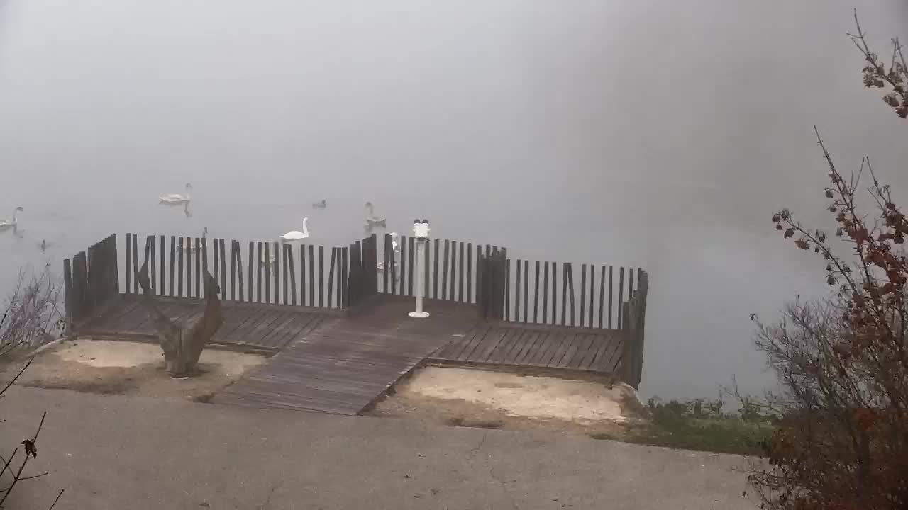 Spletna kamera Ribnik Vrbje – Žalec