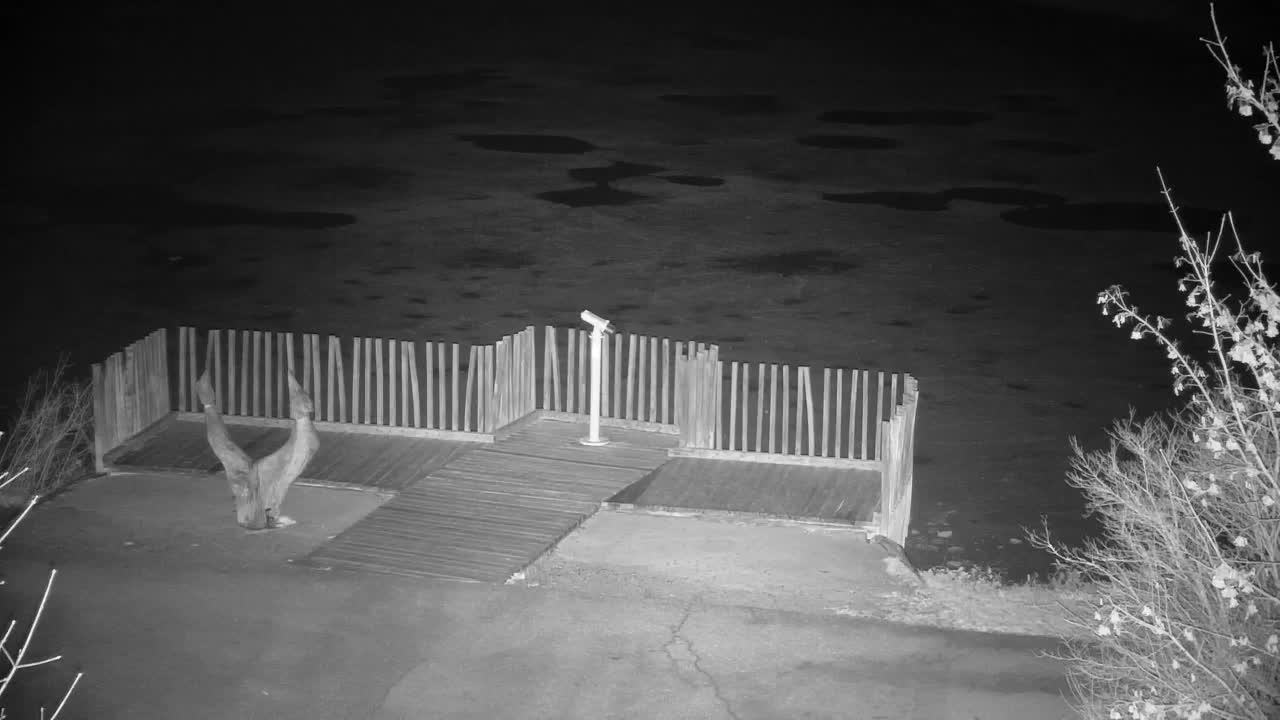 Web kamera Ribnik Vrbje – Žalec