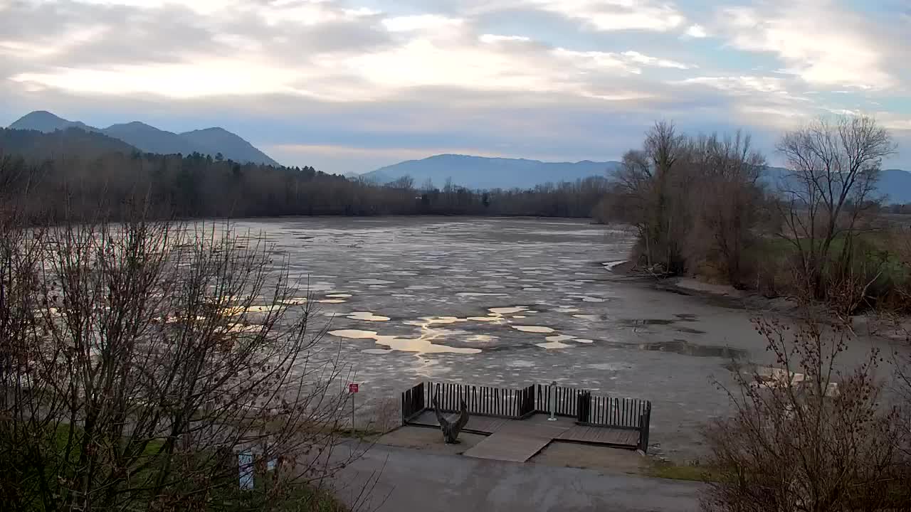 Web kamera Ribnik Vrbje – Žalec