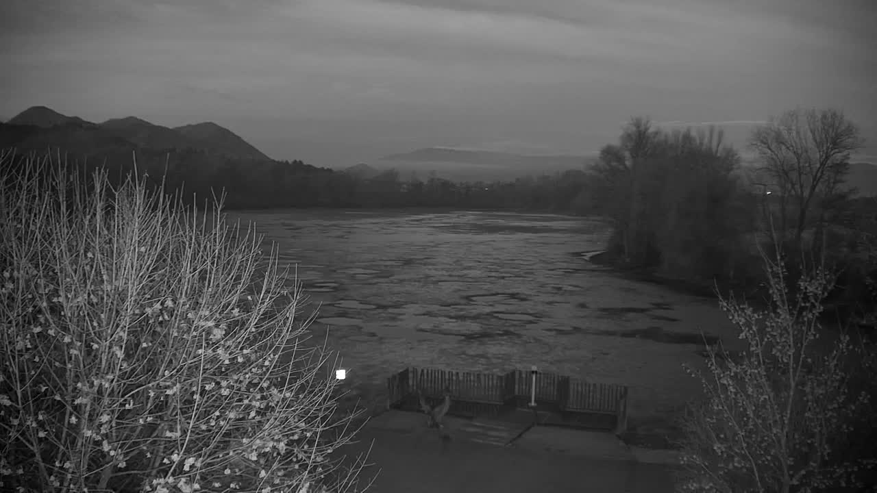 Web kamera Ribnik Vrbje – Žalec