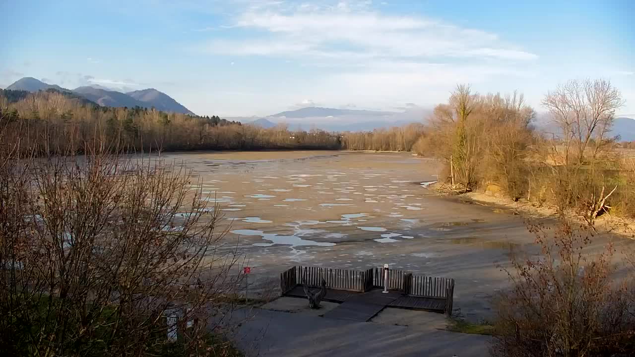 Webcam Ribnik Vrbje – Žalec
