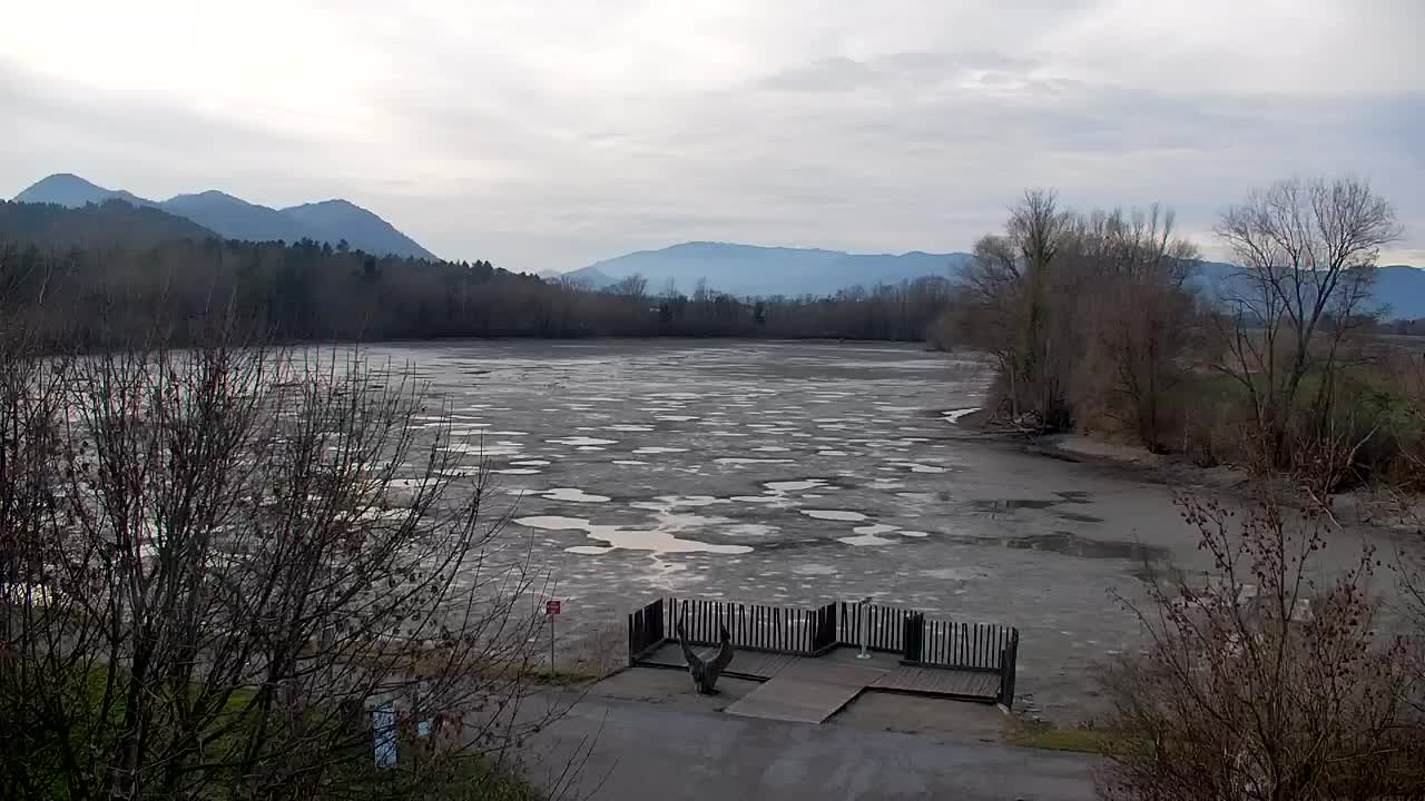 Spletna kamera Ribnik Vrbje – Žalec