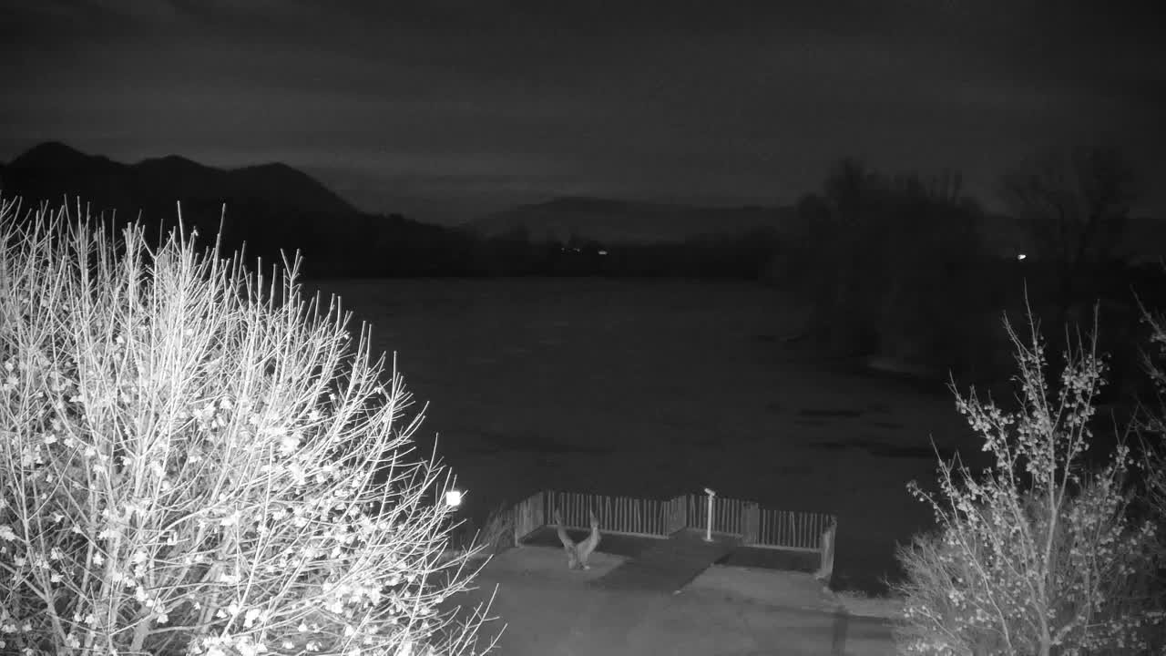 Webcam Ribnik Vrbje – Žalec