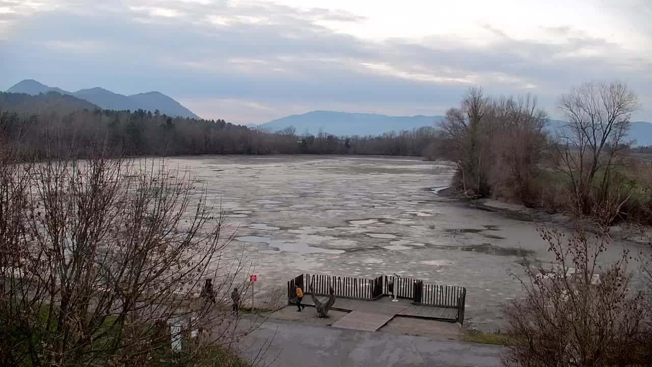 Webcam Ribnik Vrbje – Žalec