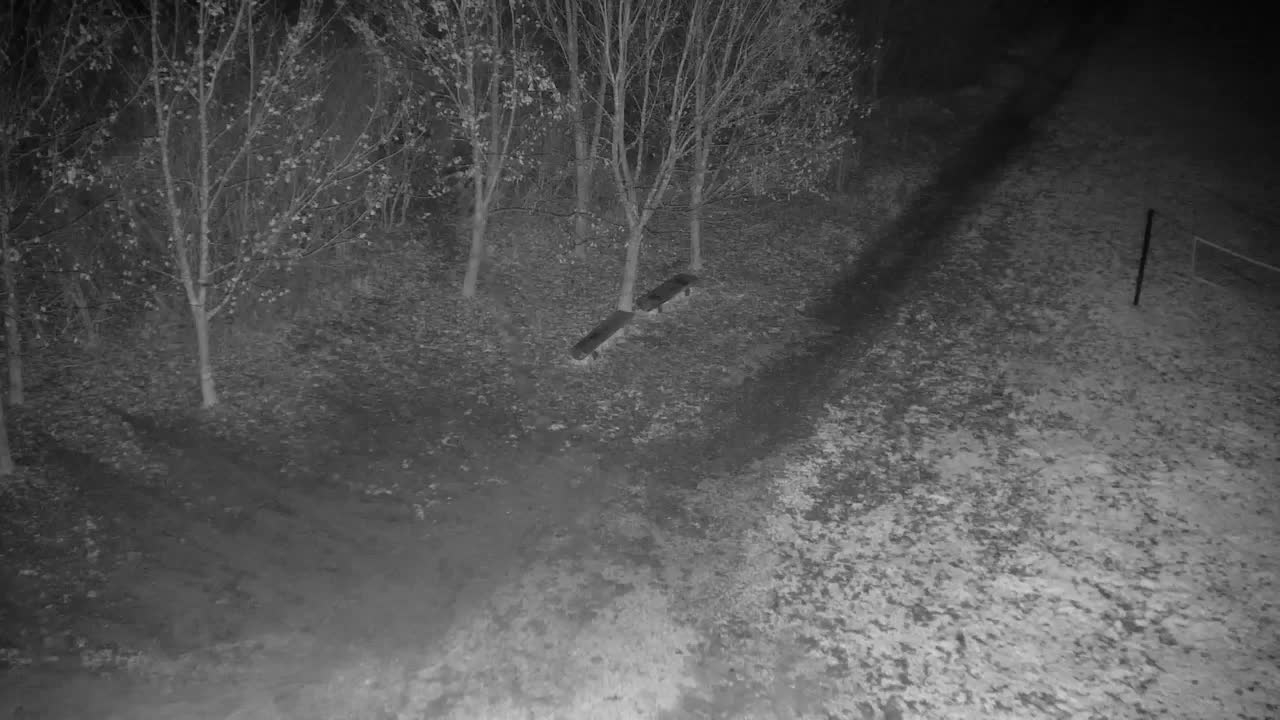 Webcam Ribnik Vrbje – Žalec