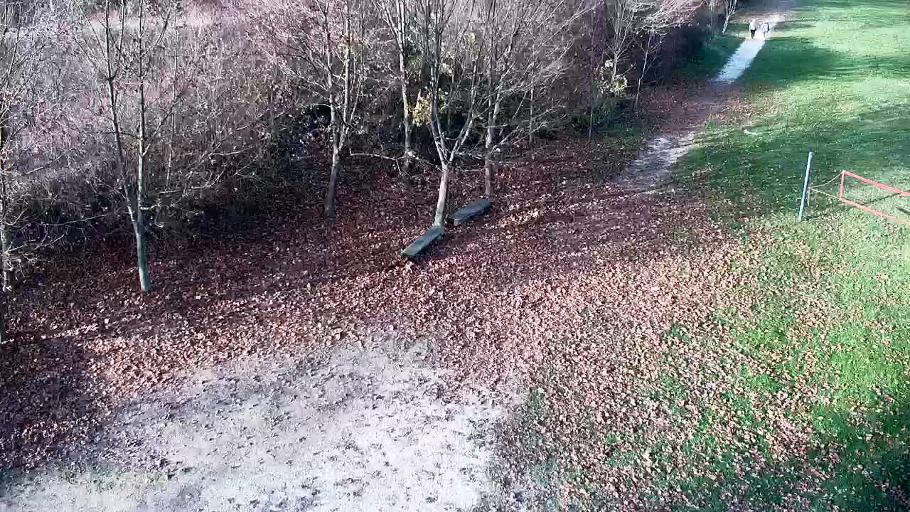 Spletna kamera Ribnik Vrbje – Žalec