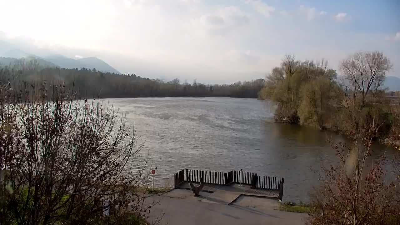 Webcam Ribnik Vrbje – Žalec