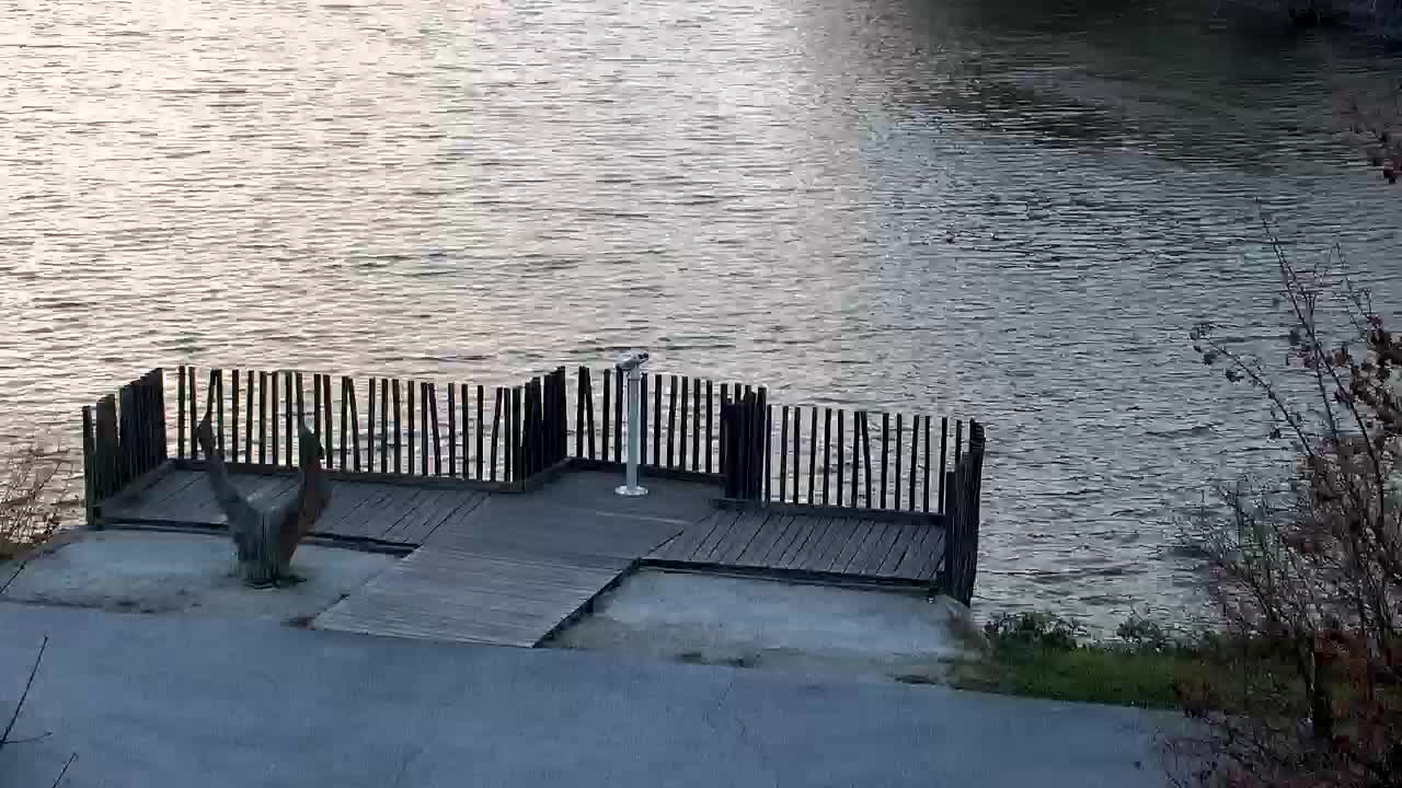 Webcam Ribnik Vrbje – Žalec