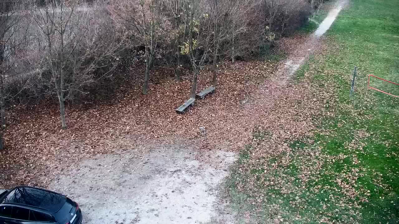 Webcam Ribnik Vrbje – Žalec