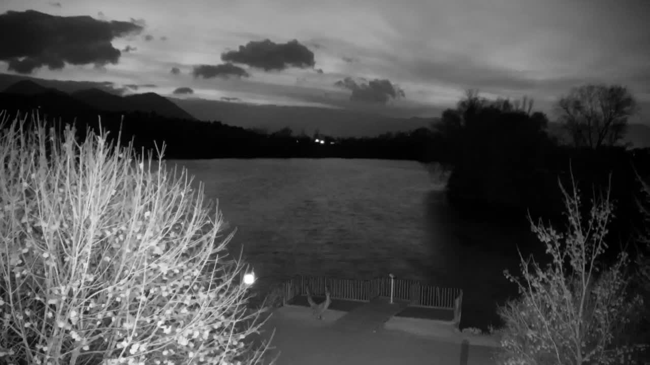 Webcam Ribnik Vrbje – Žalec