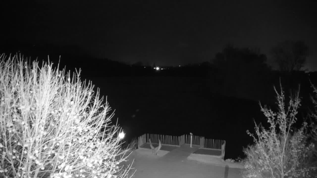 Webcam Ribnik Vrbje – Žalec