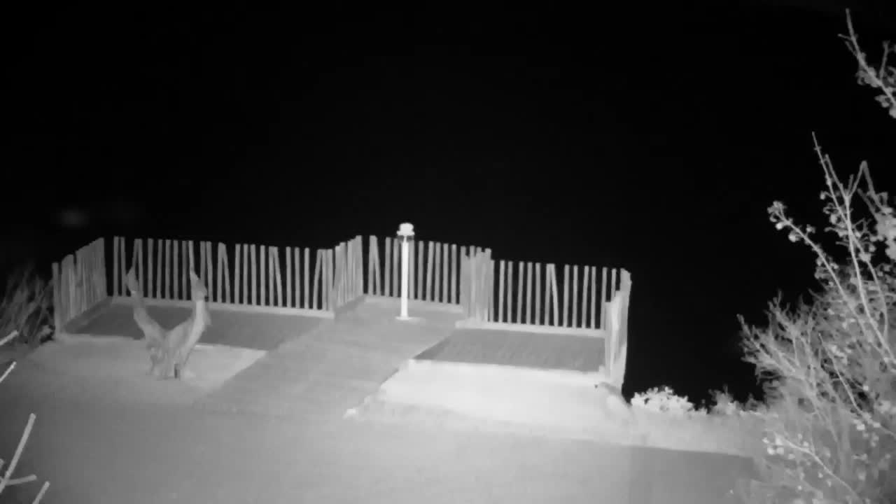 Webcam Ribnik Vrbje – Žalec