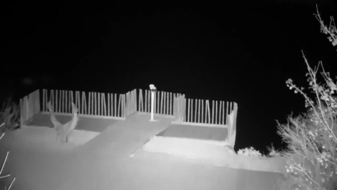 Webcam Ribnik Vrbje – Žalec