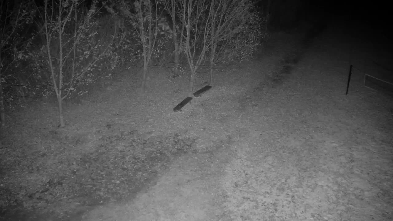 Webcam Ribnik Vrbje – Žalec