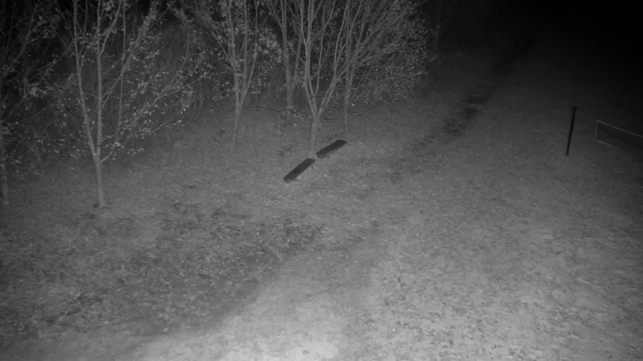 Webcam Ribnik Vrbje – Žalec