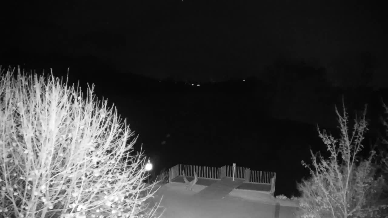 Webcam Ribnik Vrbje – Žalec