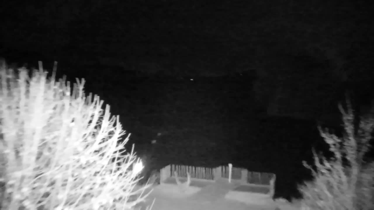 Web kamera Ribnik Vrbje – Žalec