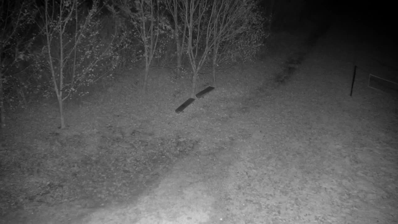 Spletna kamera Ribnik Vrbje – Žalec