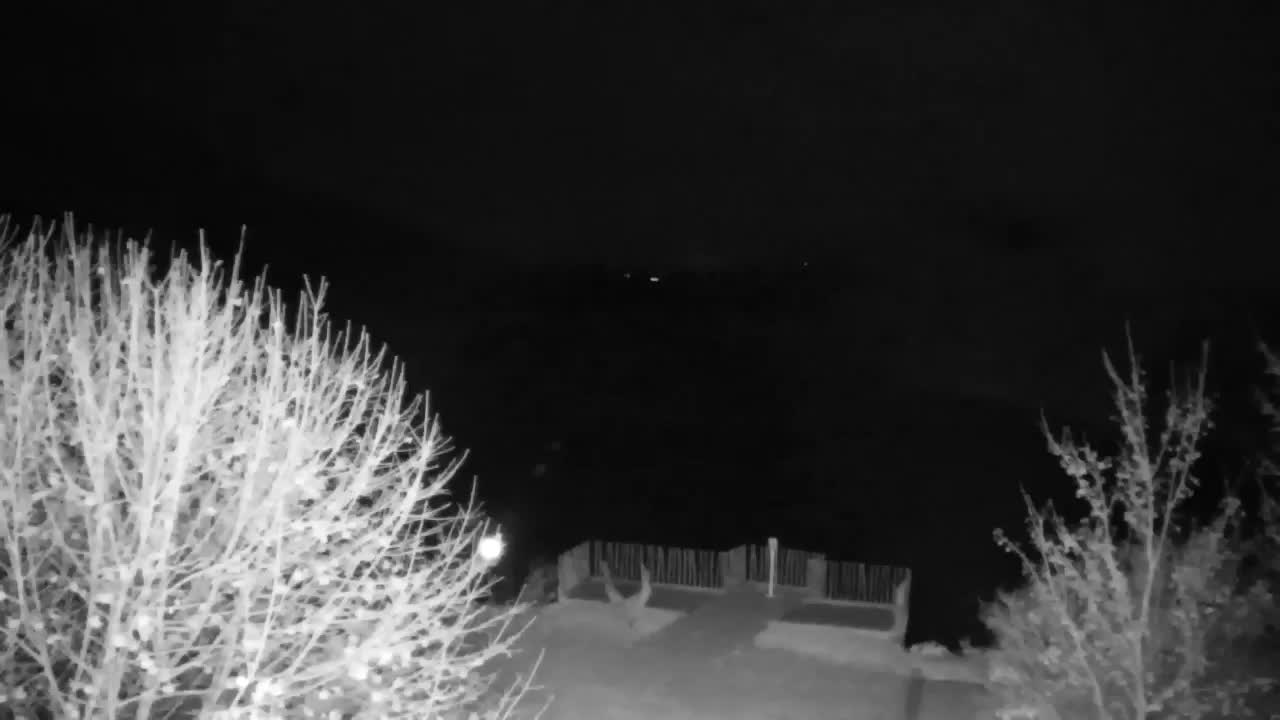 Webcam Ribnik Vrbje – Žalec