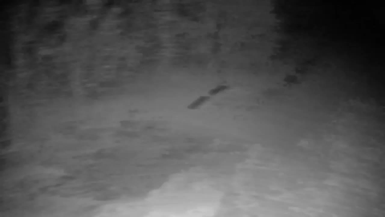 Webcam Ribnik Vrbje – Žalec