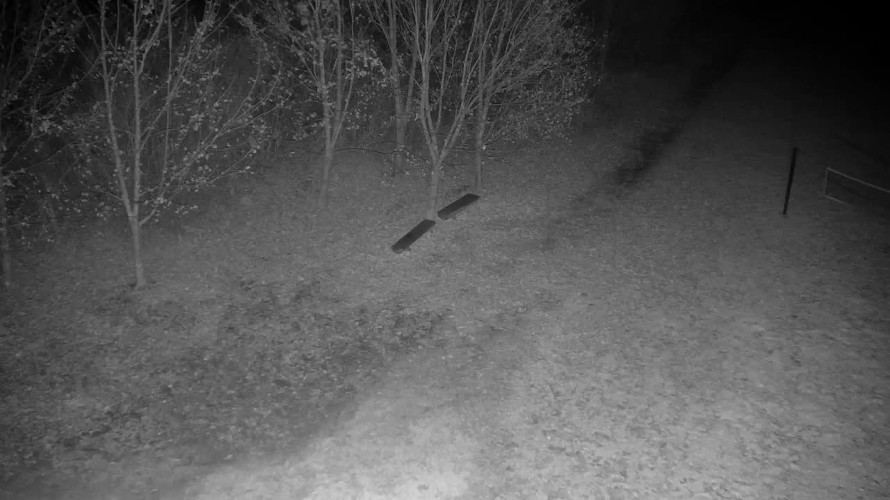 Webcam Ribnik Vrbje – Žalec