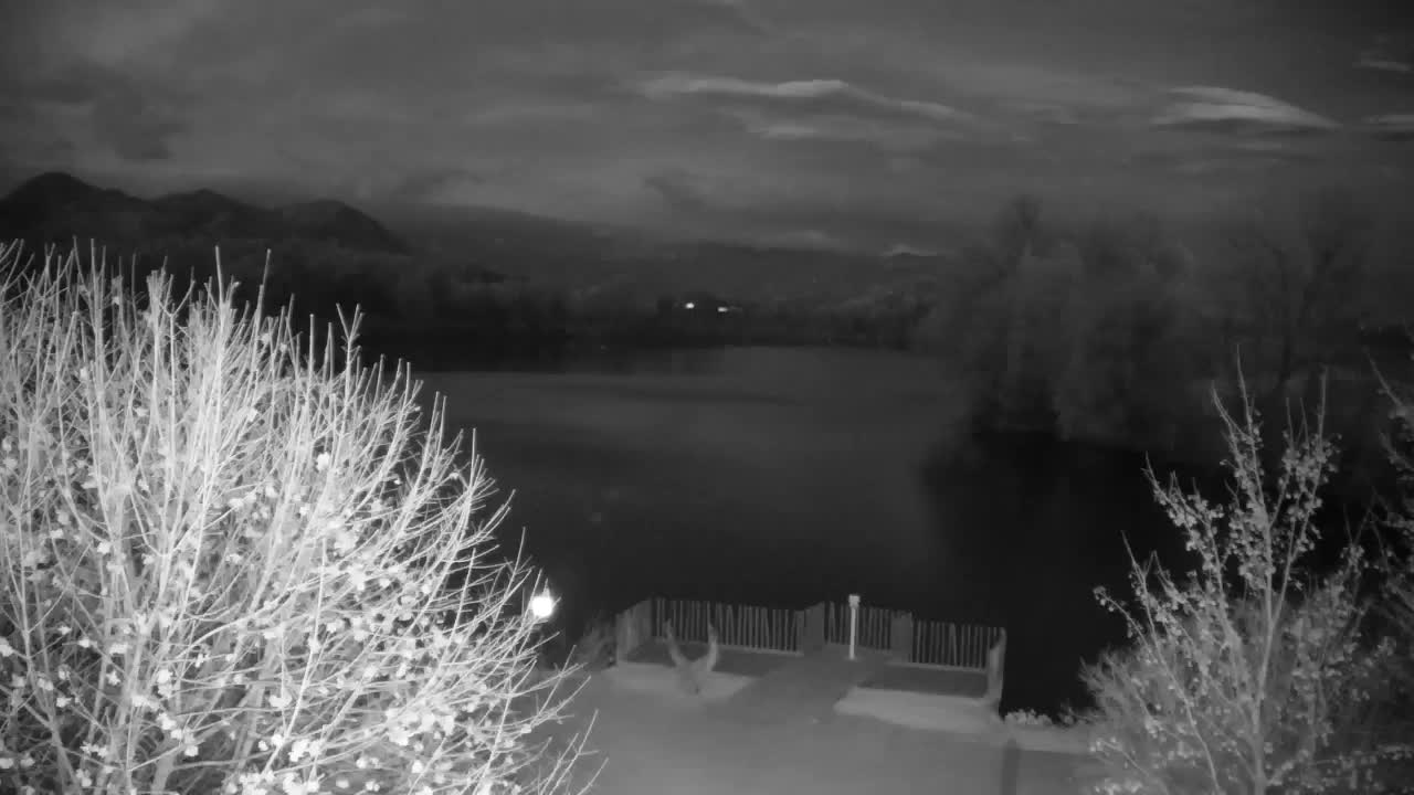 Web kamera Ribnik Vrbje – Žalec