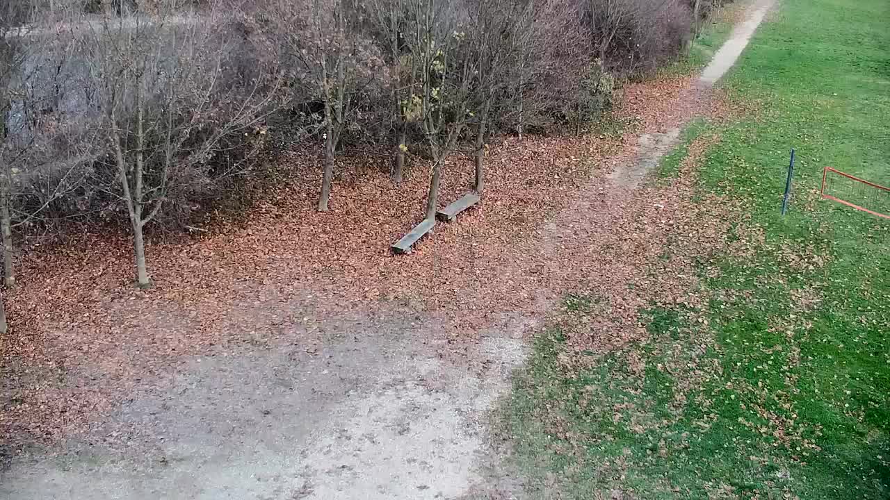 Spletna kamera Ribnik Vrbje – Žalec