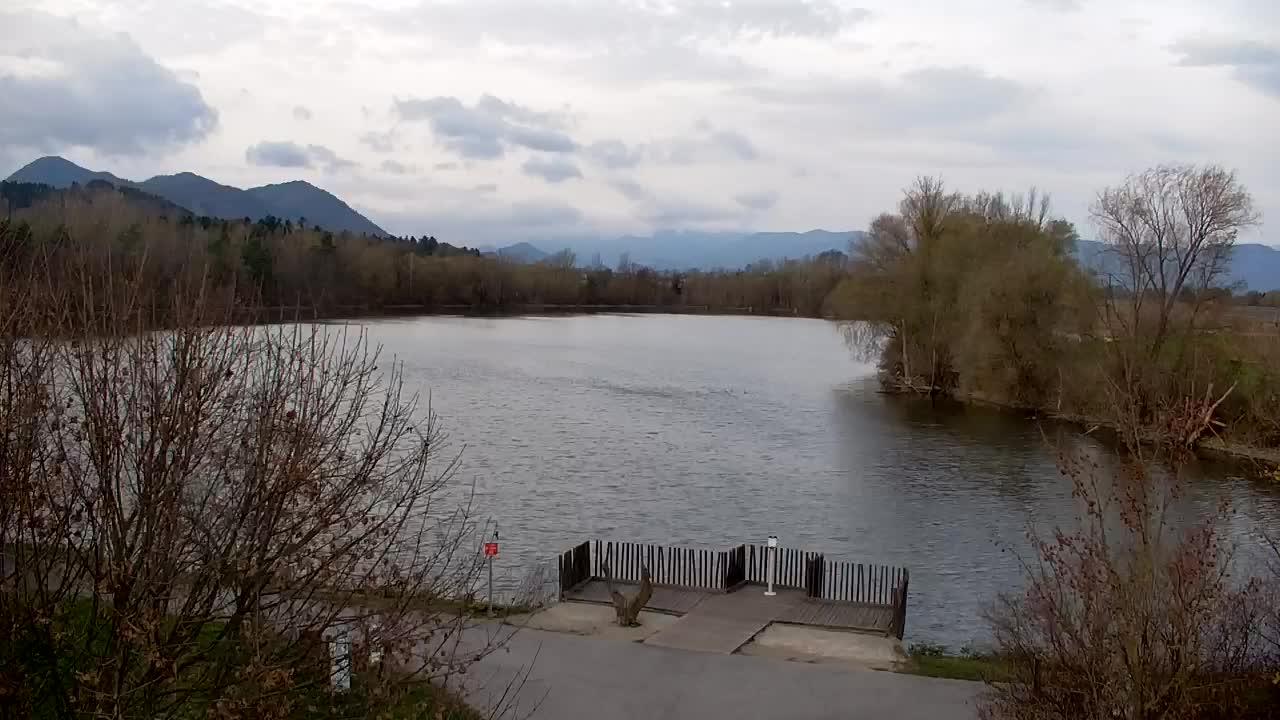 Webcam Ribnik Vrbje – Žalec