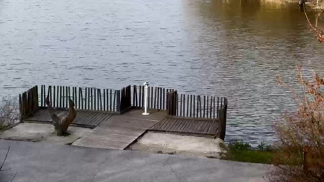 Webcam Ribnik Vrbje – Žalec