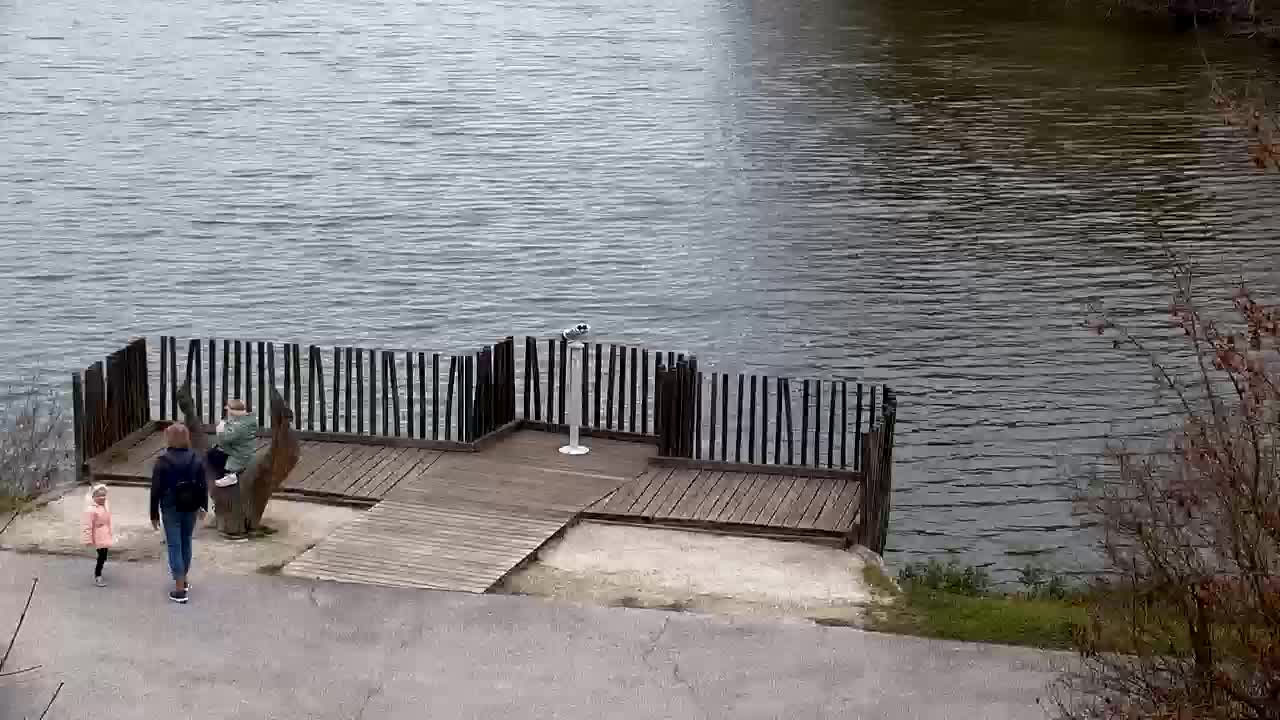 Webcam Ribnik Vrbje – Žalec