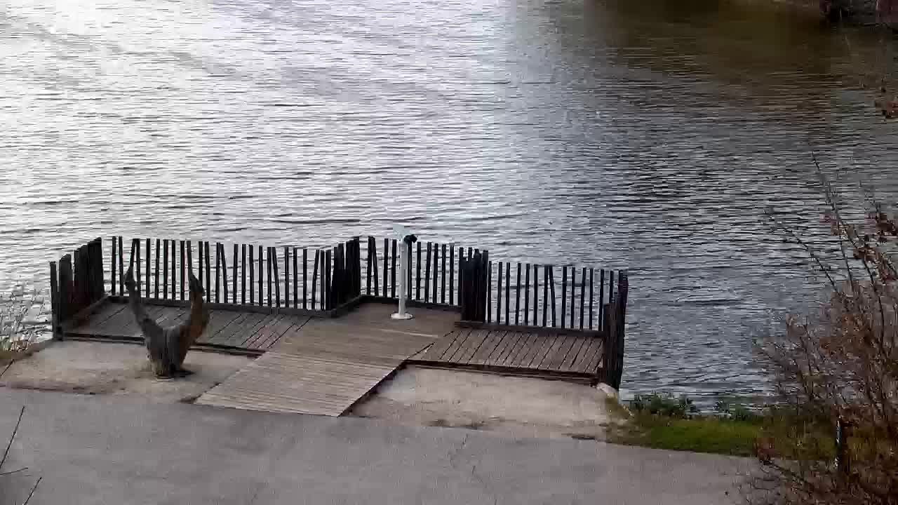 Webcam Ribnik Vrbje – Žalec